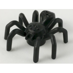 Spider with Elongated Abdomen Black