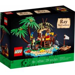 40566 Ray the Castaway