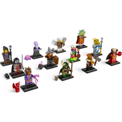 71047 Dungeons and Dragons Series | Complete Set