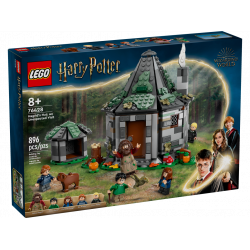 76428 Hagrid's Hut: An Unexpected Visit