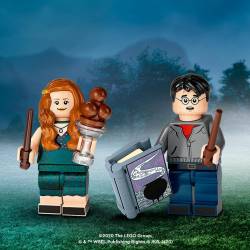 Harry Potter, Series 2 (Complete Series of 16 Complete Minifigure Sets)