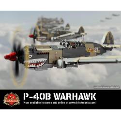 P-40B Warhawk - WWII Fighter