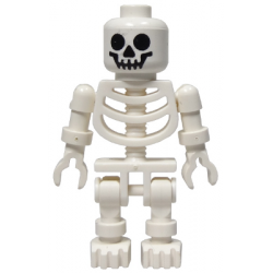 Skeleton with Standard Skull